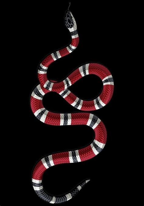 gucci king snake|why does Gucci use snake.